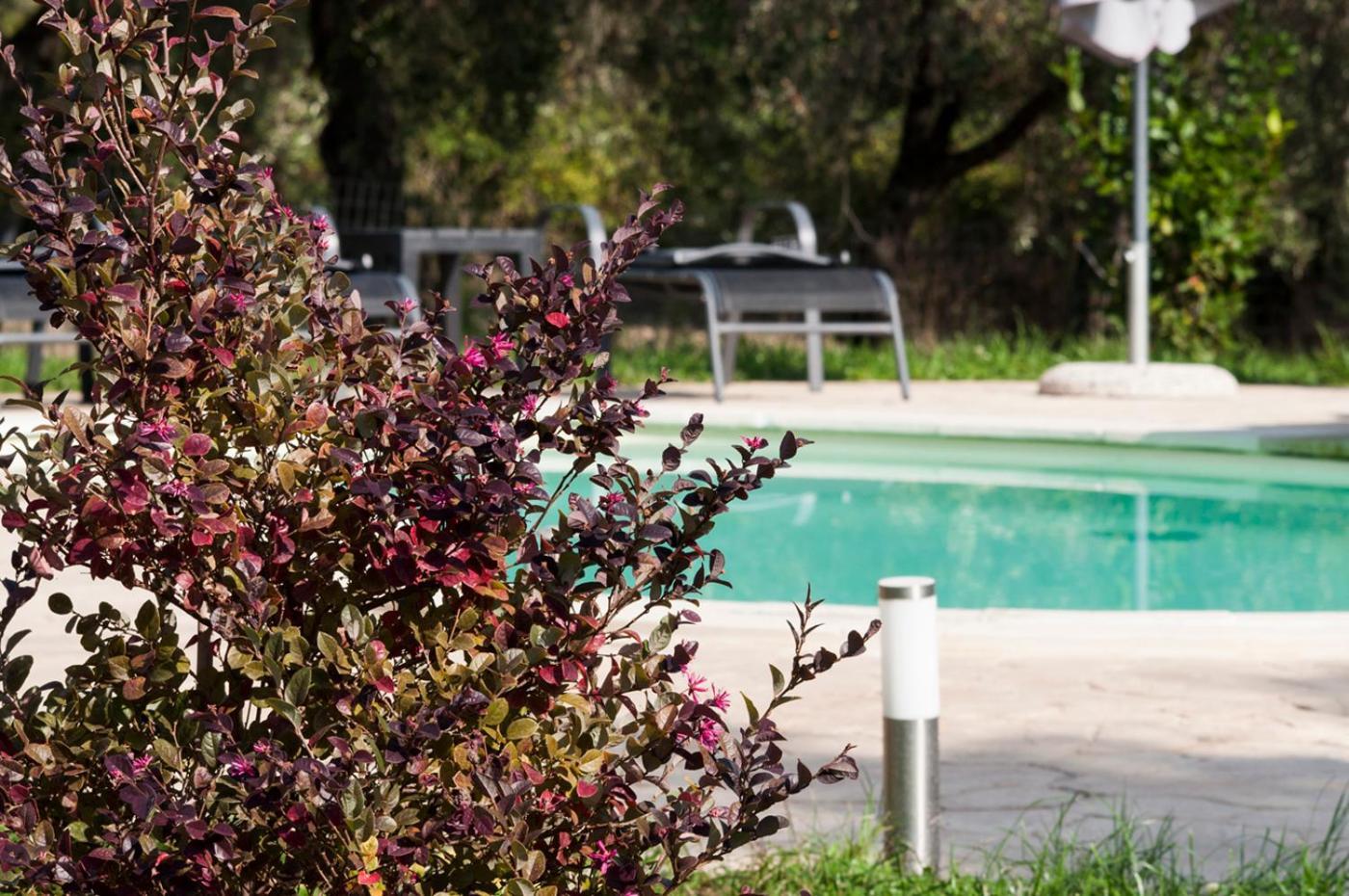 Agriturismo Tenuta Roccaccia Pitigliano Buitenkant foto